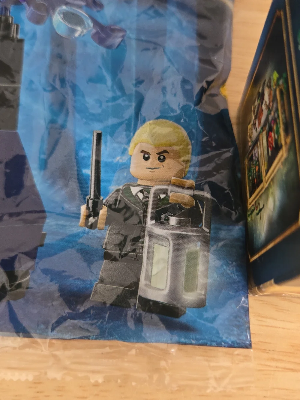 LEGO Harry Potter: Hogwarts Castle: Herbology Class (76445) & Draco Forest 30677